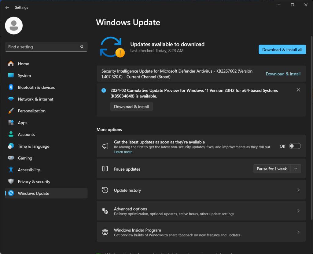 Windows update options