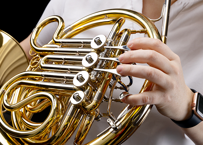 Left handed french horn cheap