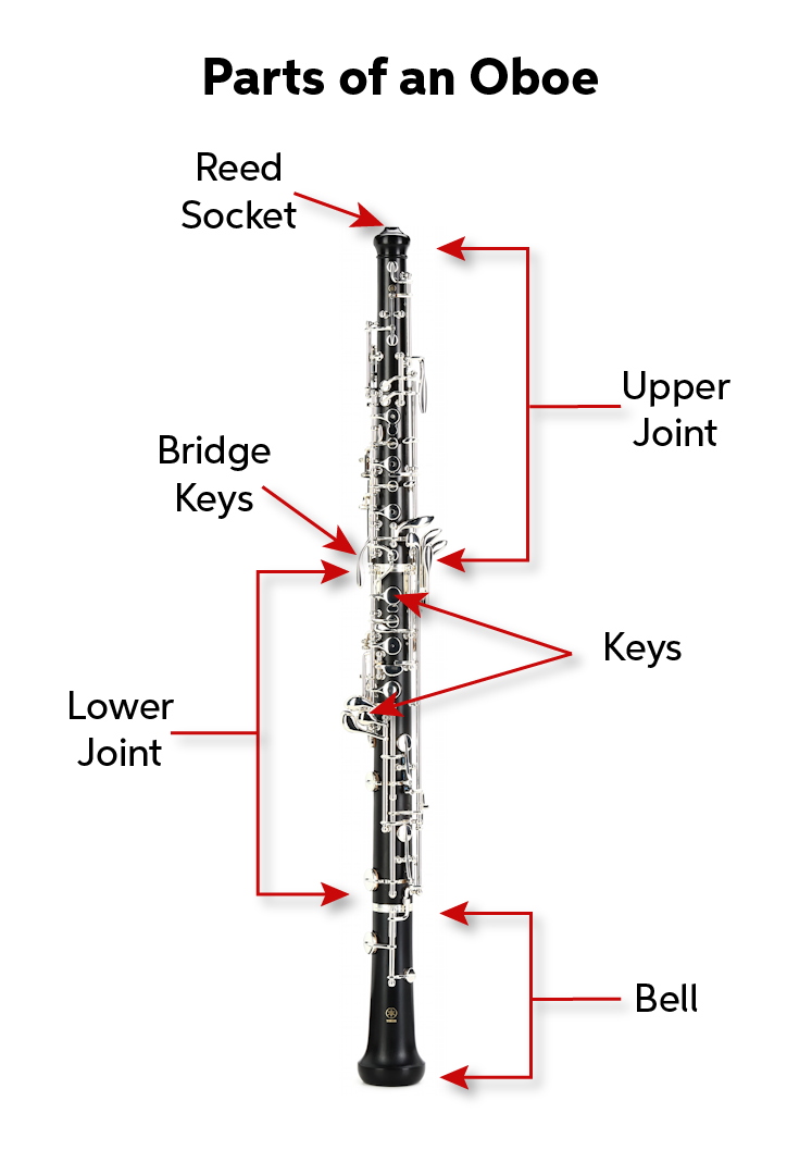 Oboe Quickstart Guide Sweetwater