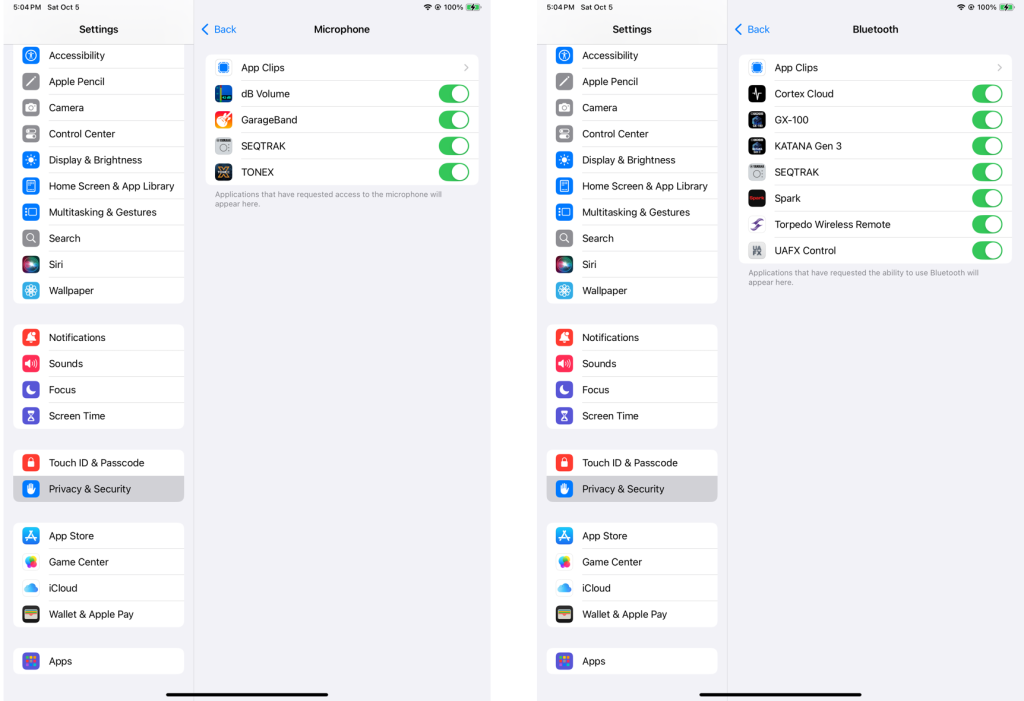 iPad Settings Privacy
