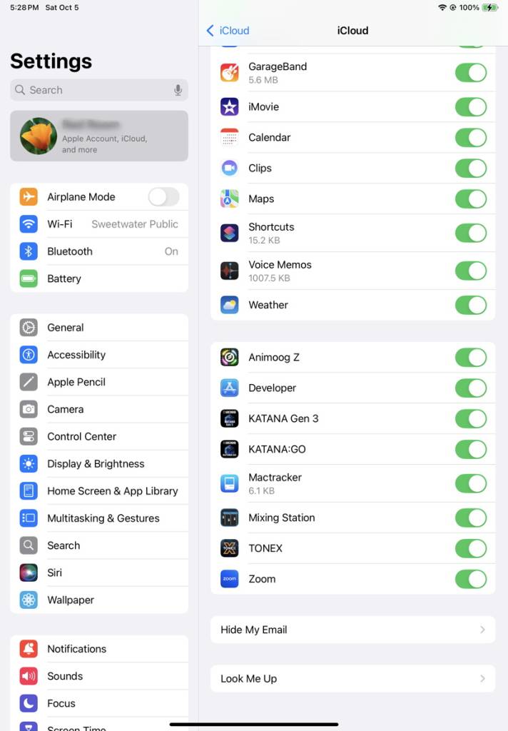 iPad Settings iCloud