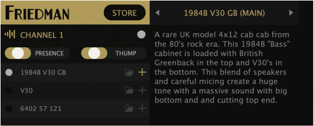 Detail of Friedman Editor App